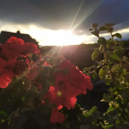 Дом отдыха Prazdninovy V Ceskem Raji *