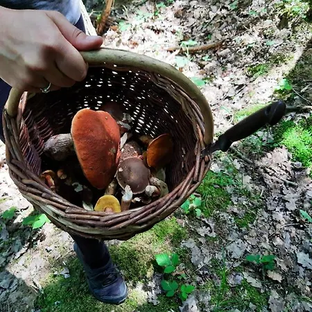 Nyaraló Prazdninovy V Ceskem Raji *