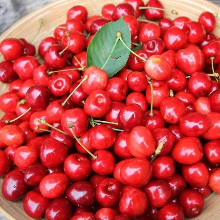 Prazdninovy V Ceskem Raji Nyaraló Kněžmost