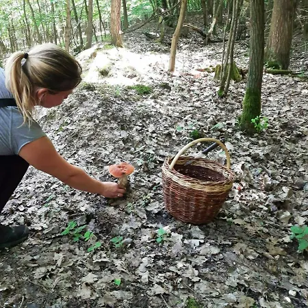 Nyaraló Prazdninovy V Ceskem Raji *