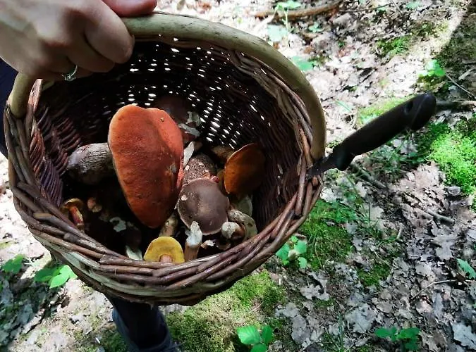 Дом отдыха Prazdninovy V Ceskem Raji *