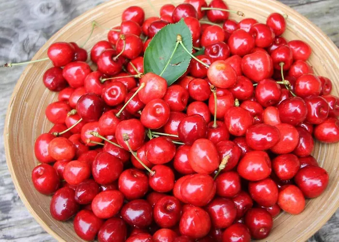 Prazdninovy V Ceskem Raji Дом отдыха Knezmost