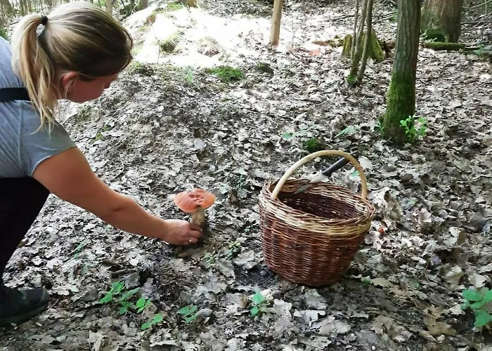 Дом отдыха Prazdninovy V Ceskem Raji *